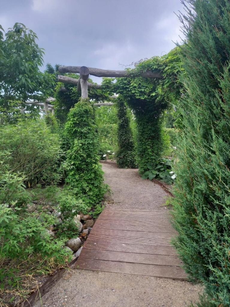 Medicinhaverne i Tranekær