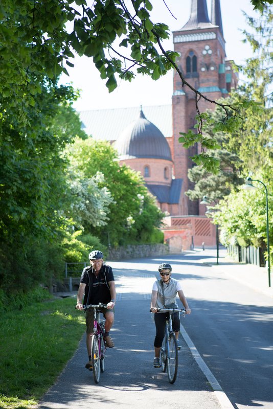 Roskilde Domkirke i baggrunden